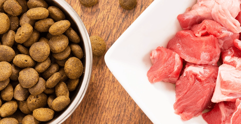 狗狗鮮食食譜份量