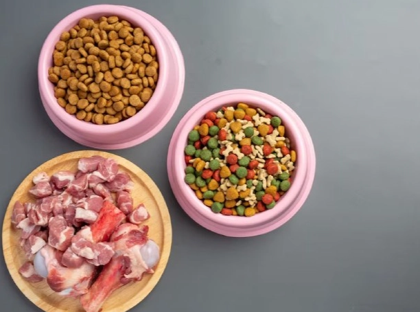 寵物鮮食好處