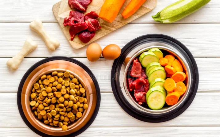 健康貓零食選擇 健康貓零食選擇