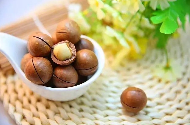 夏威夷果仁對狗有害