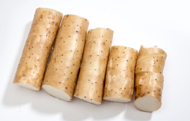 狗狗山藥料理 狗狗山藥料理