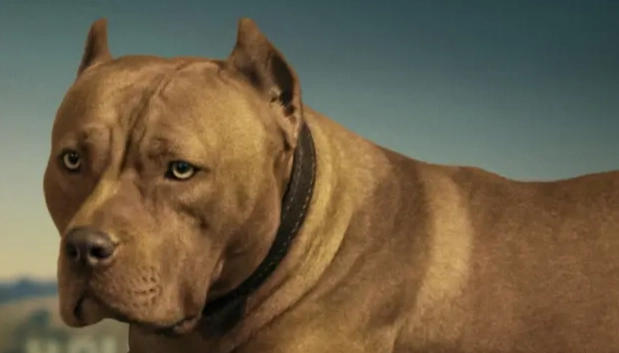 護衛犬品種比較