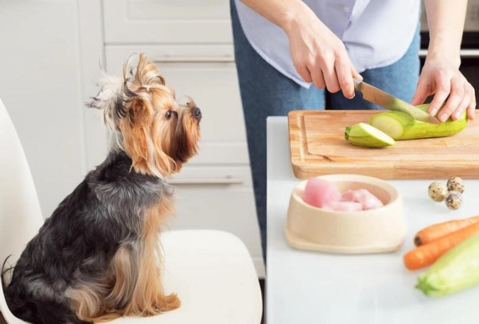 分離焦慮症治療