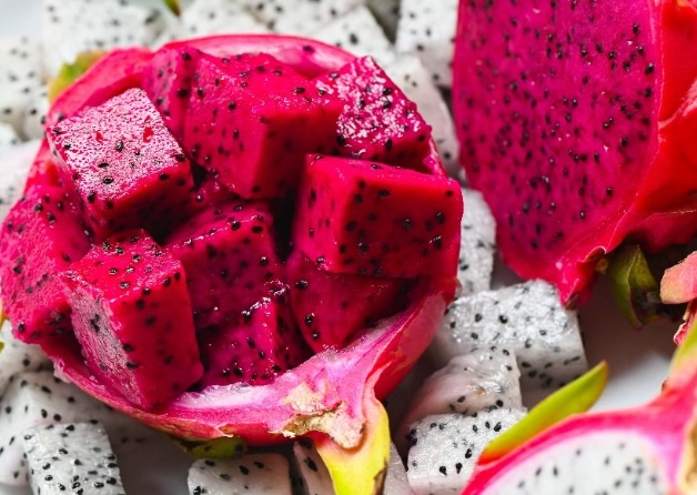 蜜袋鼯可以吃火龍果 蜜袋鼯可以吃火龍果