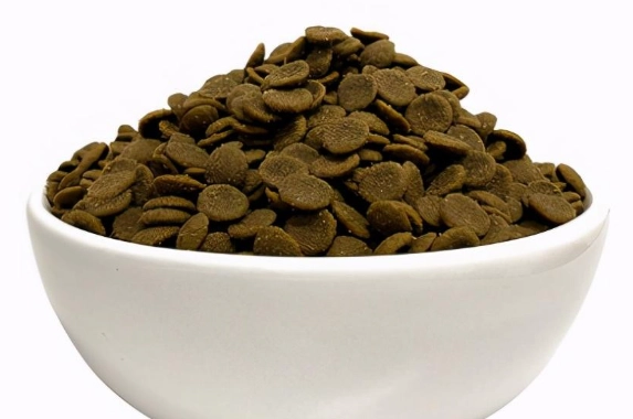 如何延長羅威納壽命