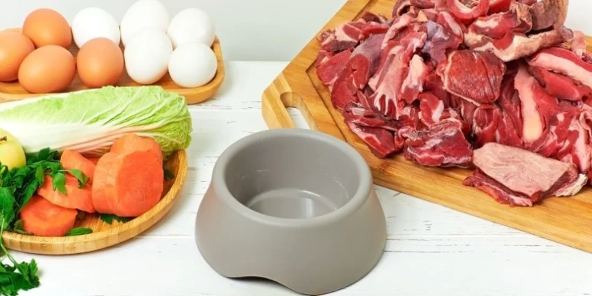 狗狗一天吃多少餐