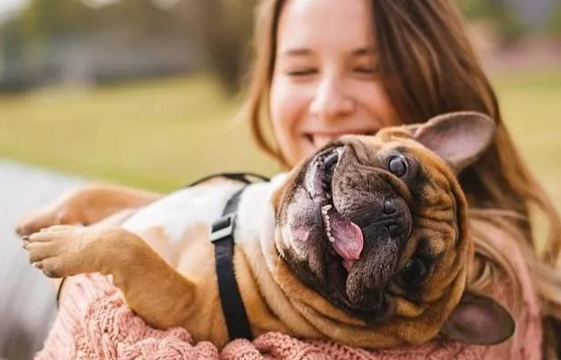 如何讓狗喜歡你