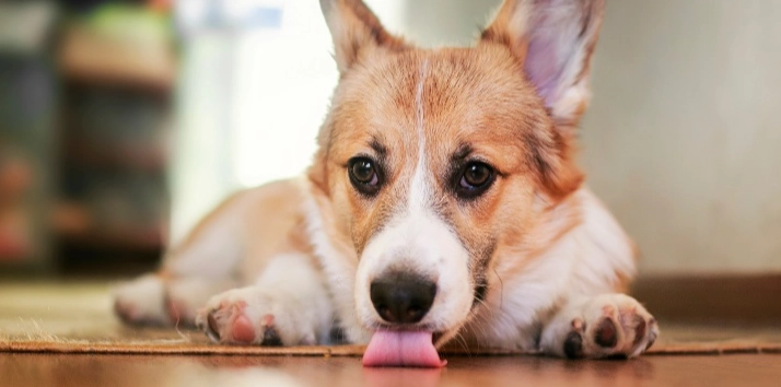 眼睛發炎多久會好