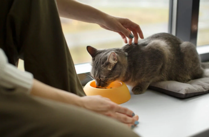 寵物營養師培訓