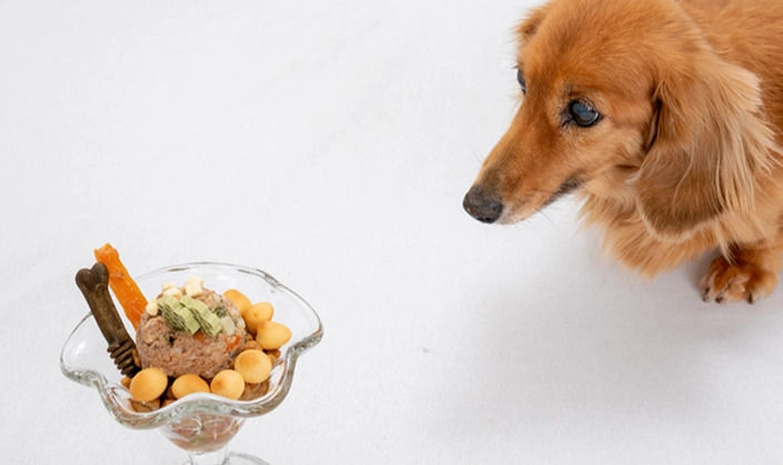 狗狗吃蝦殼安全嗎 狗狗吃蝦殼安全嗎