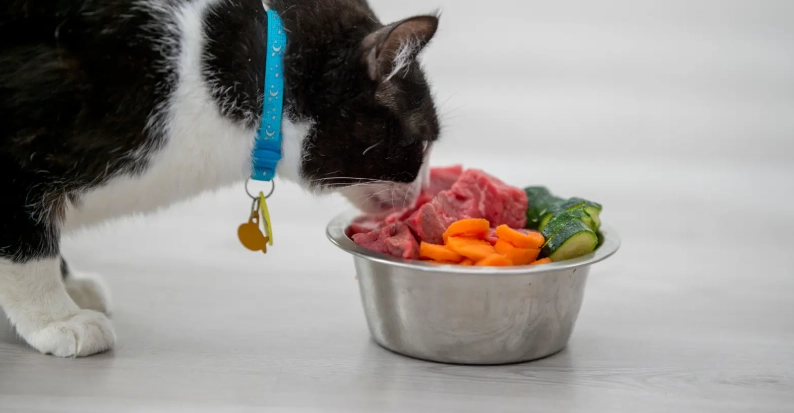 寵物營養師培訓