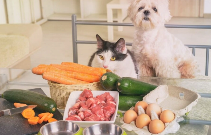 寵物飲食管理課程