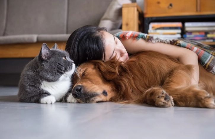 寵物呼吸系統照顧