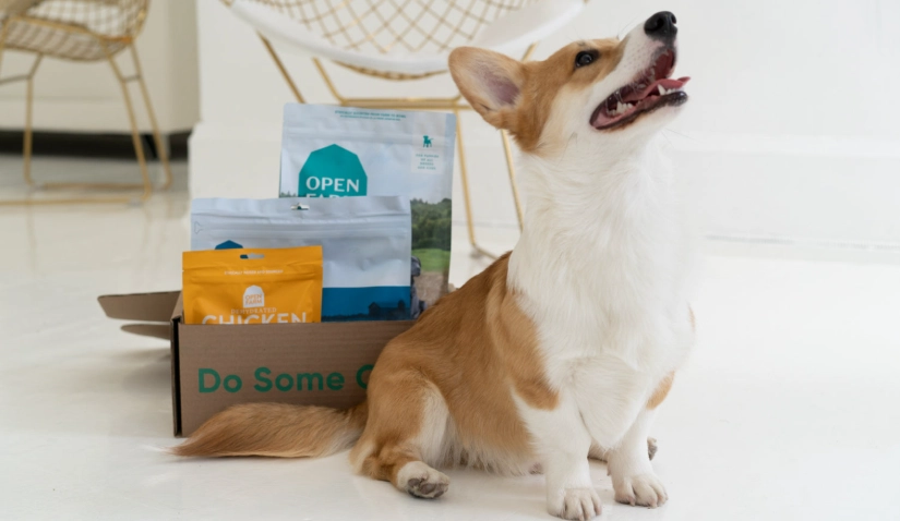 狗泌尿系統疾病