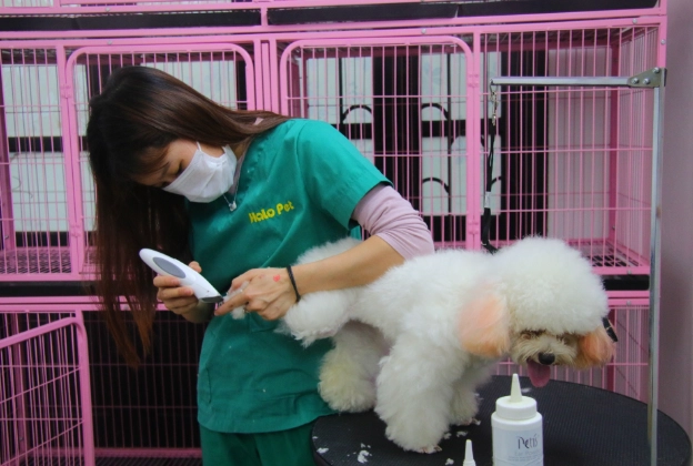 寵物營養師認證