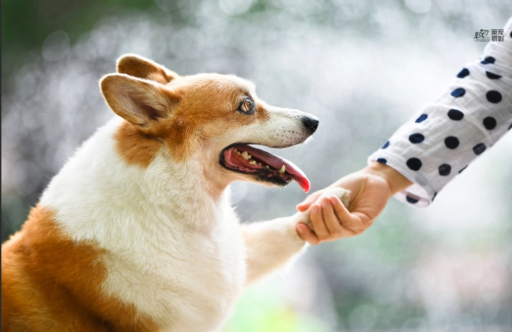 眼睛發炎多久會好