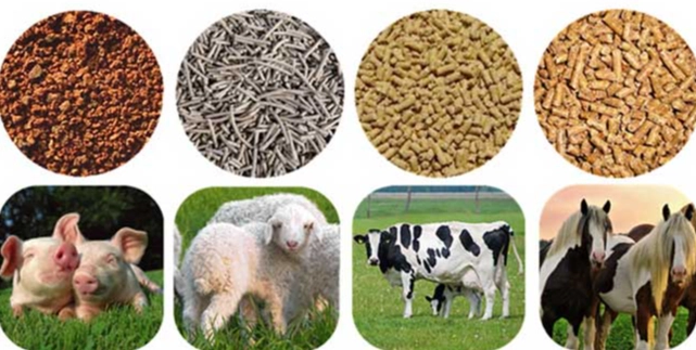 動物飼料配方