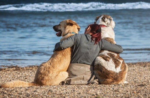 狗喜歡的人特質