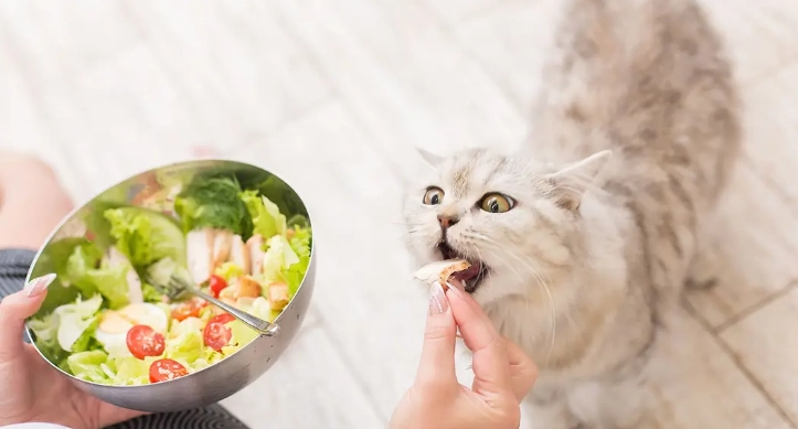 寵物營養學認證