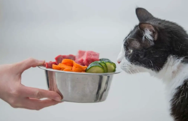 寵物飲食管理課程