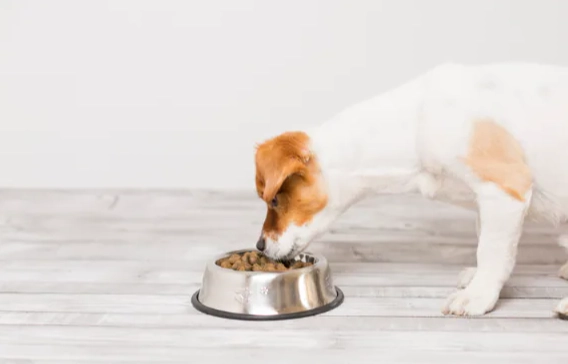 益生菌吃太多症狀
