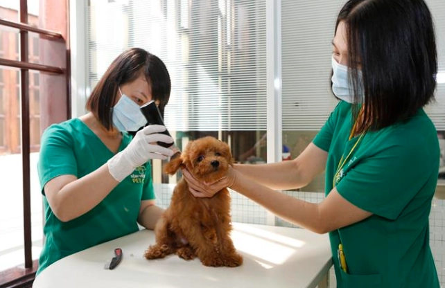 寵物營養師認證
