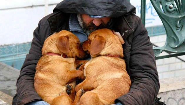 如何讓狗喜歡你