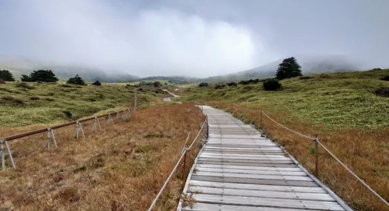 漢拿山御里牧登山路體驗