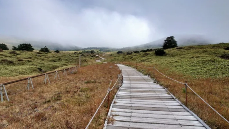 漢拿山御里牧登山路體驗：完整路線攻略與親身經驗分享