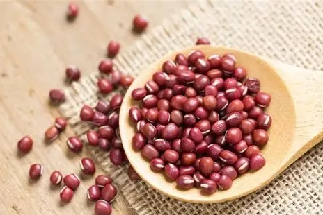 狗吃紅豆好處