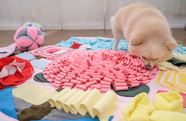 狗狗聞香茅安全嗎