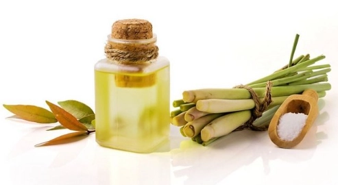 狗狗 香茅油 中毒