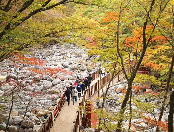 漢拿山旅遊 漢拿山旅遊