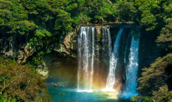 漢拿山登山攻略 漢拿山登山攻略