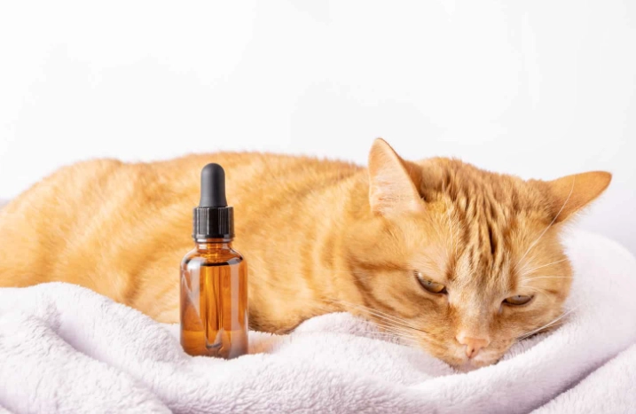 香茅油寵物安全