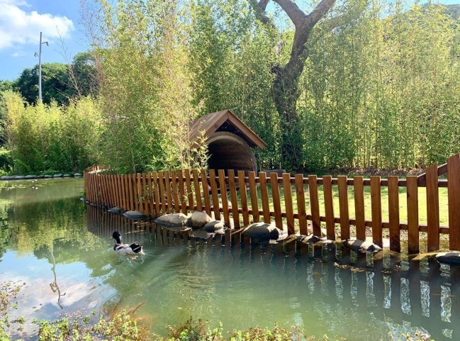 桃園免門票觀光