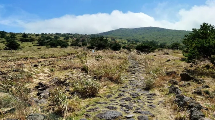 漢拿山路線比較