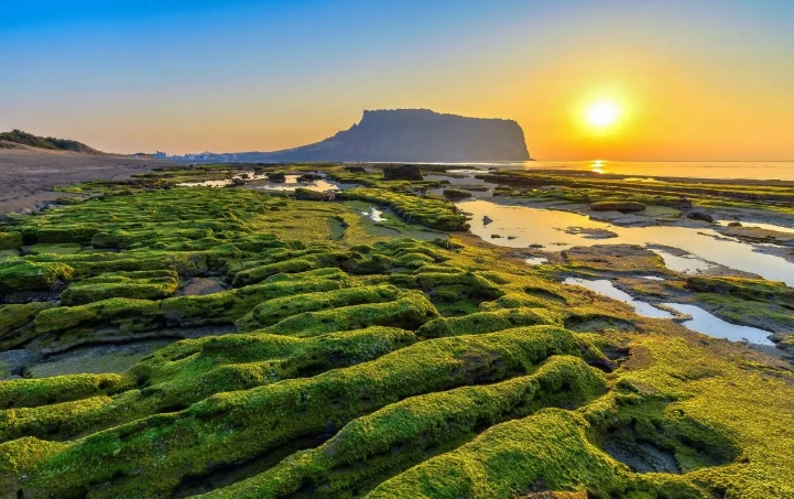 濟州島徒步旅行