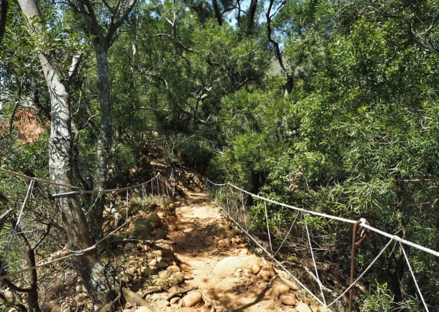 火炎山天氣預報
