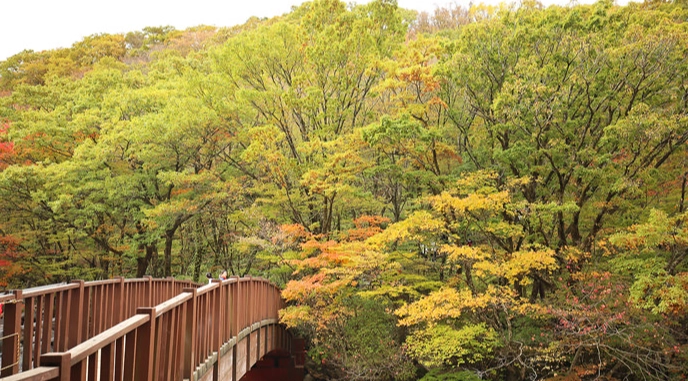 漢拿山旅遊 漢拿山旅遊