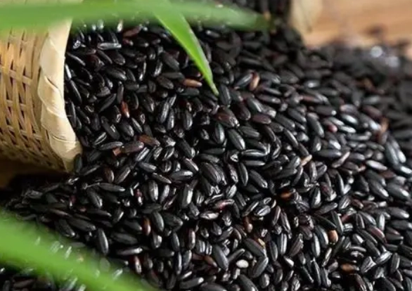 黑米對狗的好處