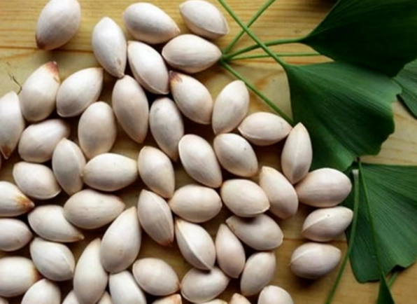 銀杏果食用方法