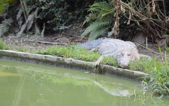 台灣農場旅遊飲食