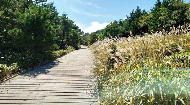 漢拿山登山攻略