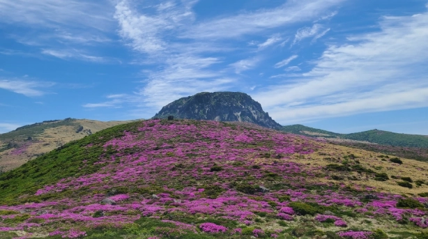 漢拿山路線時間