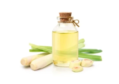 狗狗 香茅油 中毒