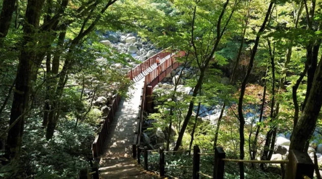 漢拿山登山攻略