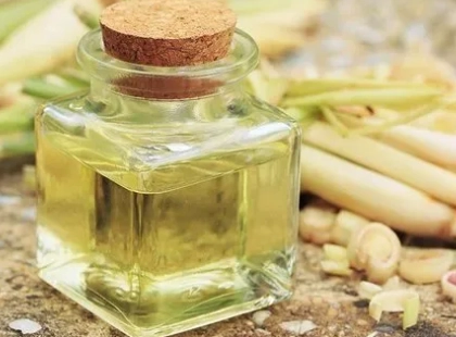 香茅油 寵物 安全