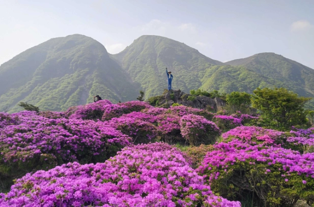 漢拿山登山規劃