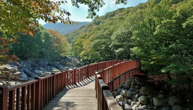 濟州島登山路線